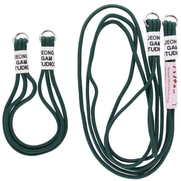 Чохол TPU two straps California для Apple iPhone 13 (6.1") Зелений / Forest green