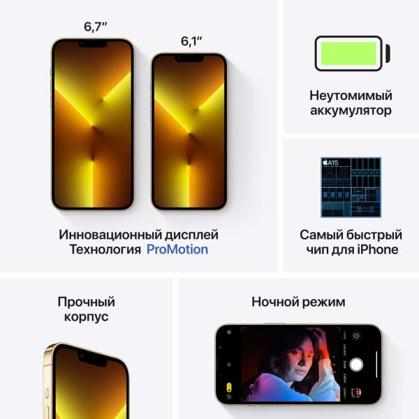 Смартфон Apple iPhone 13 Pro Max 1TB Gold (MLLM3)