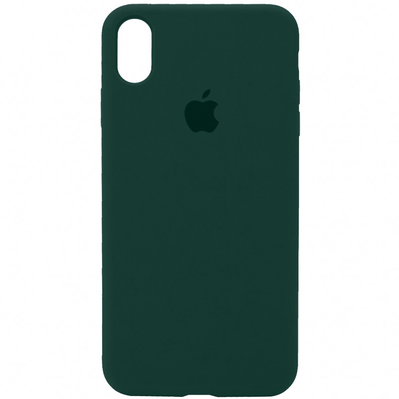 Чохол Silicone Case Full Protective (AA) для Apple iPhone X (5.8") / XS (5.8") Зелений / Pistachio